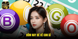 Hôm Nay Đề Về Con Gì